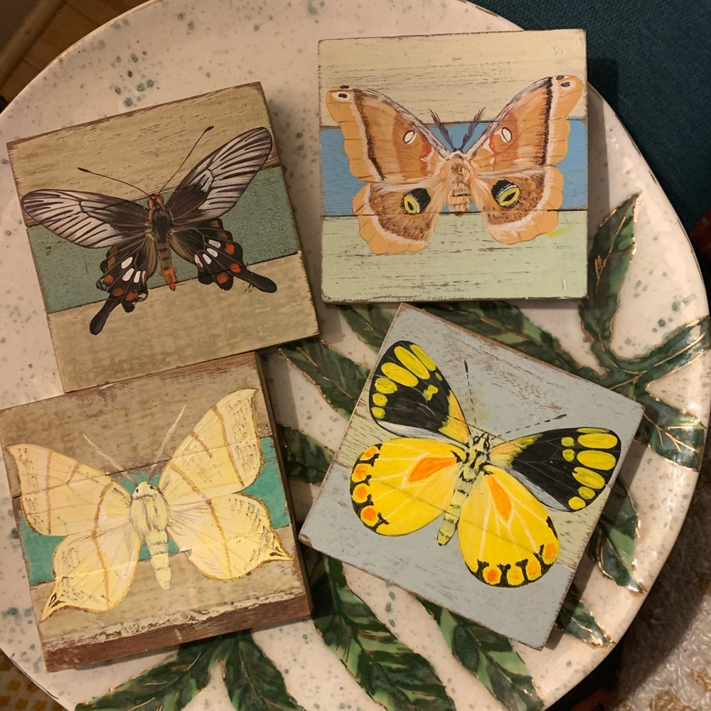 Painted butterfly wall art